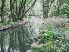 -上海共青森林公园