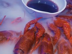 经典冰镇龙虾-红盔甲·小龙虾(定西路店)