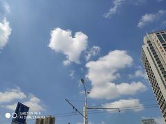 -黄毛鸭脖(汉阳总店)