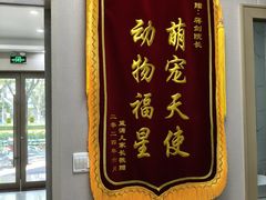 -瑞鹏宠物医院·骨外科·心肾科·肿瘤科(九亭店)