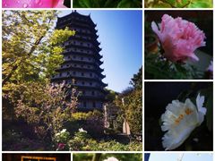 -六和塔文化公园