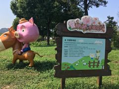 -田园东方蜜桃村的田野营地