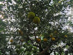 -国家植物园南园