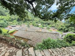 -杨家堂村