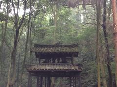-峨眉山报国寺