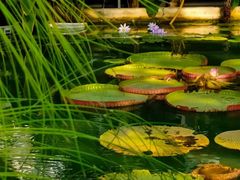 -国家植物园南园