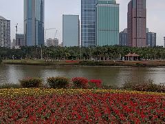 -万绿园