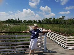 -春花秋色城市公园