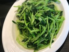 清炒鸡毛菜-小蓉合餐厅·川菜·家常菜(凤城二路店)