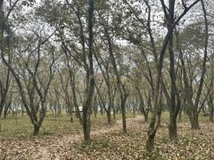 -楠溪江风景名胜区