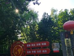 -大望京公园