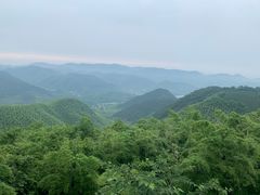 -莫干山风景区