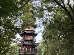 -上海佘山国家森林公园西佘山园