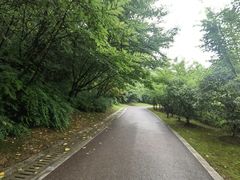 -南山风景名胜区