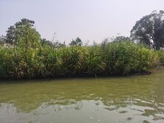 -下渚湖国家湿地公园科普馆