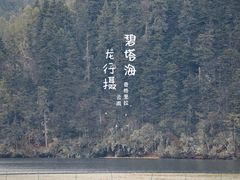 -碧塔海