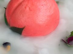 -梧桐