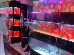 -中环花鸟鱼虫市场