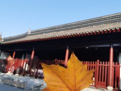 -苏州文庙(姑苏区)