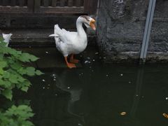 -苏州碑刻博物馆