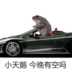-摩登时尚烫染定制专家