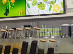 -雾与山茶(大禹城店)