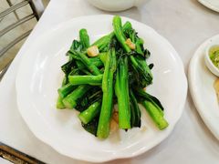 鸡油炒菜心-文记壹心鸡(宝华路店)