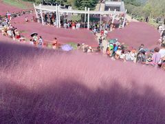 -牛岗山公园