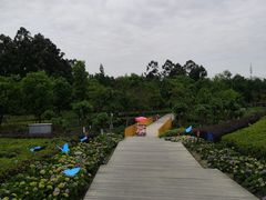 -天府芙蓉园