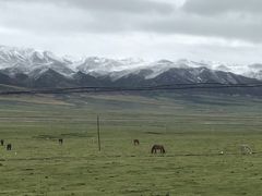 -祁连山草原