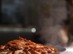 -守柴炉烤鸭(科华中路王府井店)