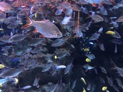 -成都浩海立方海洋公园