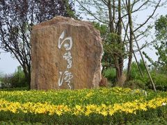 -白鹭湾湿地公园