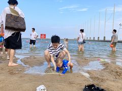 -碧海金沙