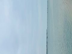 -北海金海湾红树林生态旅游区