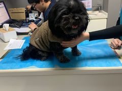 -关爱宠物医院·猫科中心·消化科(滨湖万达分院)