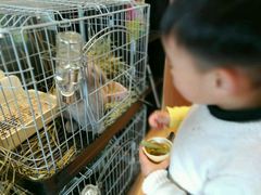 -藦茜花园宠物主题亲子互动体验馆(国顺东路店)