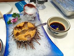 海胆-正黄旗海鲜烧烤大排档(延安路总店)