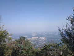 -北京鹫峰国家森林公园