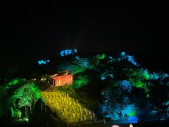 -印象普陀