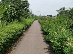 -中国天府农业博览园