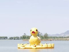 -野鸭湖国家湿地公园