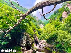 -云岫谷自然风景区