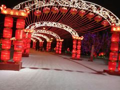 -沈阳奥体冰雪嘉年华