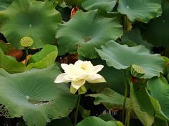 -镇江市南山风景名胜区竹林景区