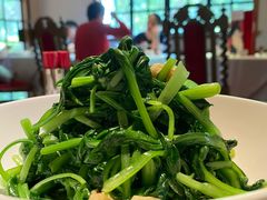 鸡毛菜炒腐衣-玫瑰厅上海菜(兴国路店)