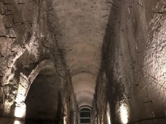 -武陵山森林公园