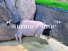 -大连圣亚海洋世界