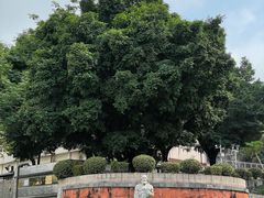 -广州神农草堂中医药博物馆