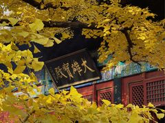 -红螺寺